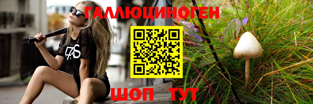 Галлюциногенные грибы Psilocybine cubensis  закладка  Муравленко  Вход с VPN 